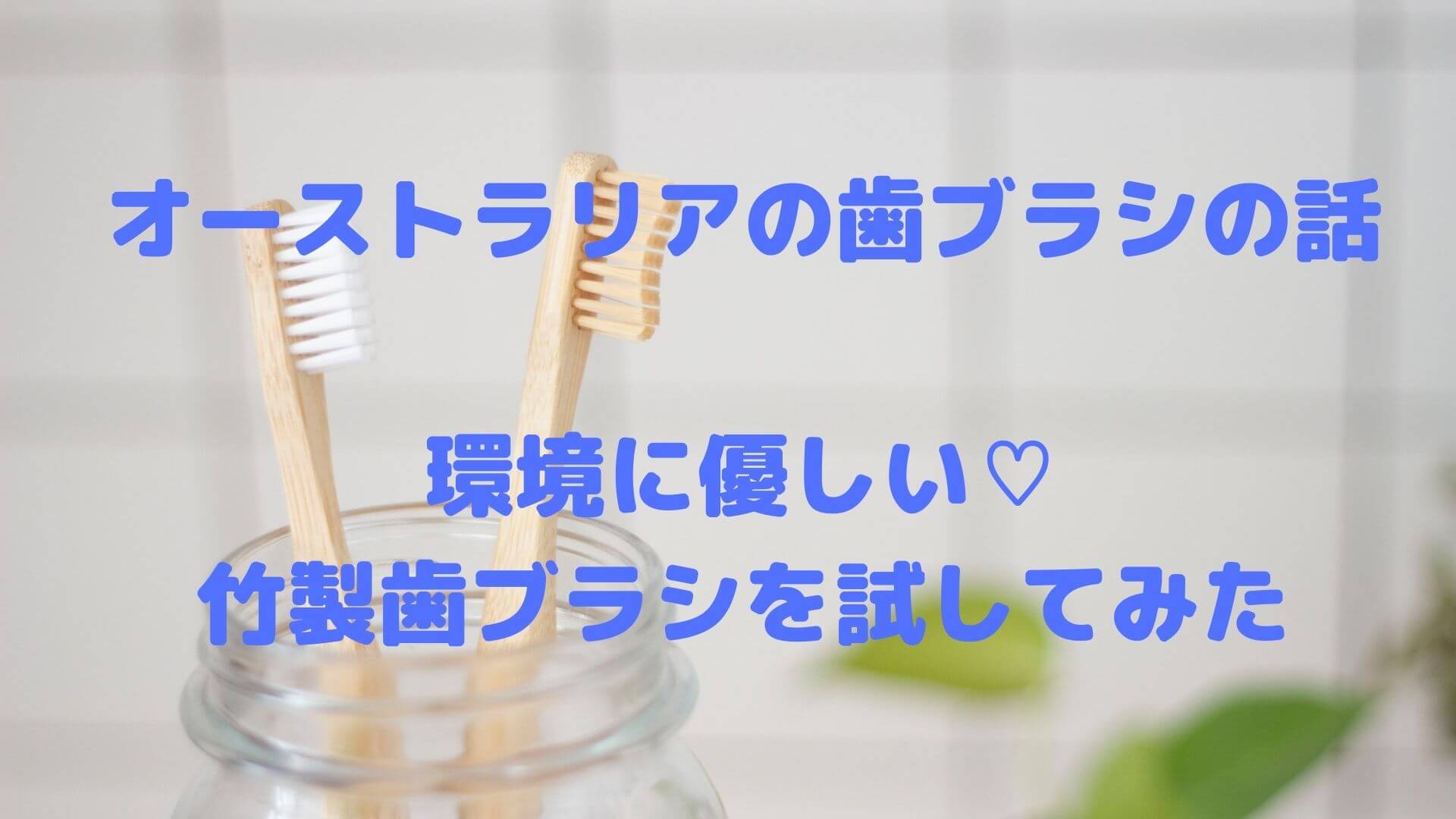 竹製歯ブラシ